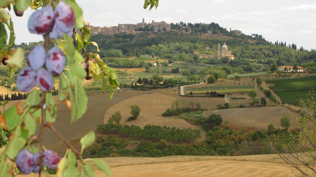 Agriturismo Villa Mazzi Montepulciano Stazione Kültér fotó